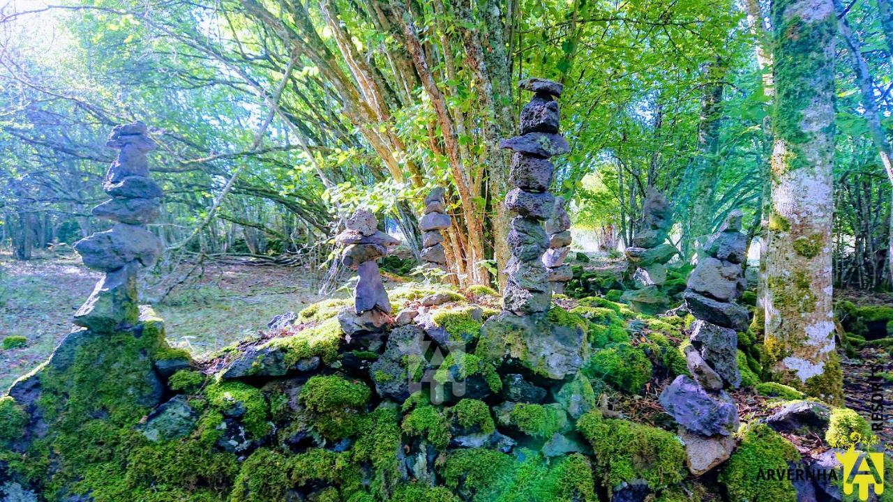 Gite Des Pierres Bleues Saint-Genès-Champanelle Exteriör bild